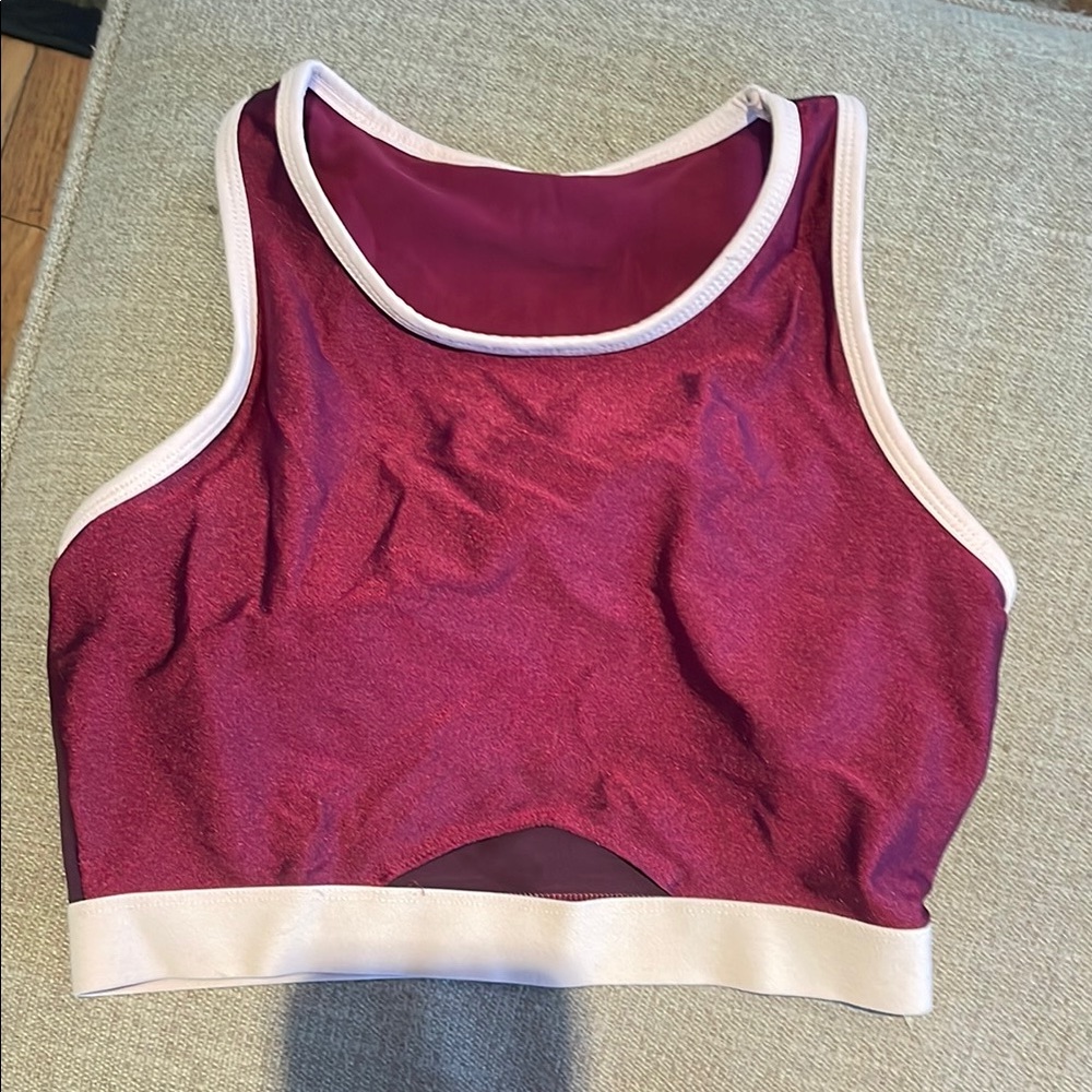Women's Burgundy and Pink Sports Bra